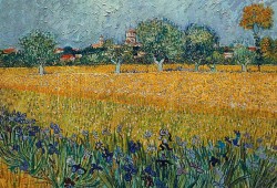 Campo de Flores perto de Arles